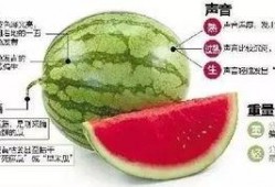 吃瓜入口微信,微信新功能带你轻松追剧聊八卦