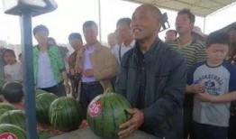 晋城吃瓜群众,揭秘本地热门事件背后的真相