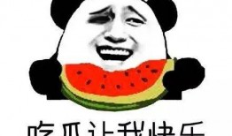 吃瓜群众心态放好,吃瓜群众视角下的明星生活