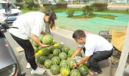 吃瓜自由省,揭秘美食天堂的多样风味与独特魅力