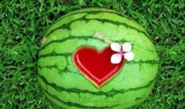 吃瓜感觉,吃瓜群众的视角，深度剖析明星幕后故事