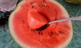 去日本吃瓜视频,一场别开生面的“吃瓜”之旅