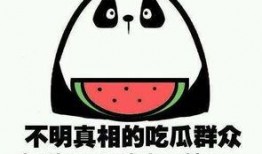 秋日吃瓜小说,一场穿越时空的甜蜜邂逅