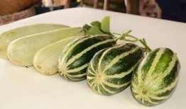 网红瓜吃瓜,揭秘娱乐圈幕后真相，吃瓜群众狂欢盛宴