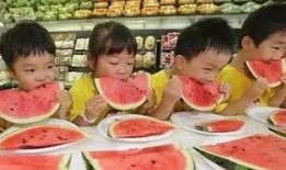 摸鱼吃瓜网,摸鱼吃瓜网带你畅游娱乐资讯海洋