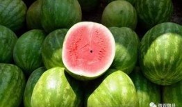 抖音魏县吃瓜,魏县特色美食“吃瓜”背后的故事