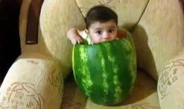 信号差吃瓜视频,揭秘网络热点的背后真相