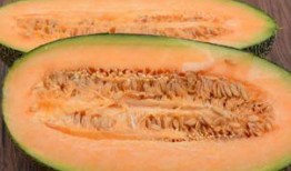 哈密瓜衣怎么吃,哈密瓜衣的多样食用方法