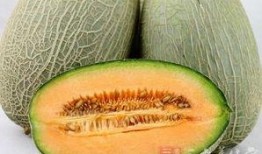 口臭吃哈密瓜好吗,缓解口臭的天然良方