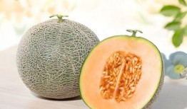 口臭吃哈密瓜好吗,缓解口臭的天然良方