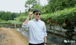 白云吃瓜,揭秘娱乐圈的甜蜜与苦涩