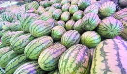 青岛恒星科技吃瓜,揭秘校园里的“吃瓜”风云