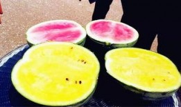 拖米吃瓜爆料,揭秘娱乐圈背后的惊人真相