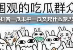 抖音魏县吃瓜,魏县特色美食“吃瓜”背后的故事