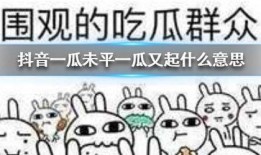 抖音魏县吃瓜,魏县特色美食“吃瓜”背后的故事