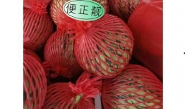 东莞吃瓜网,揭秘东莞美食江湖，带你领略地道风味