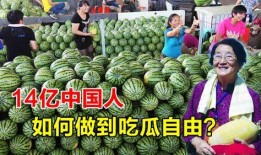 去日本吃瓜视频,一场别开生面的“吃瓜”之旅