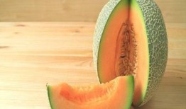 吃货性可以吃哈密瓜