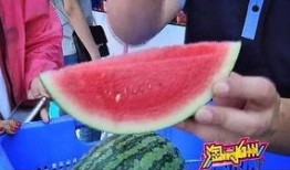 盛夏吃七瓜,夏日消暑七瓜盛宴