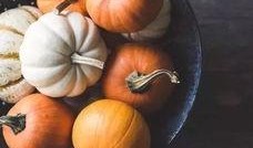 秋日吃瓜小说,一场穿越时空的甜蜜邂逅