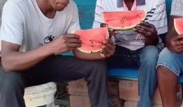 吃瓜人的速度,揭秘吃瓜人的惊人速度