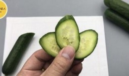 家里的吃瓜人,品味人生百态