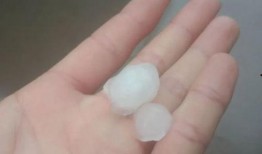 瓜沥吃冰,冰爽美食之旅