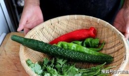 老虎菜吃瓜在线,揭秘网络热梗背后的趣味与智慧