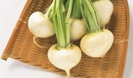 夏瓜能常吃吗,夏季常食的清凉佳品，健康生活必备