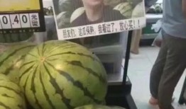 赢了吃瓜输了买瓜温州,赢了吃瓜输了买瓜，揭秘瓜界风云