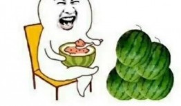 快乐吃瓜卡通,趣味横生的奇幻冒险之旅