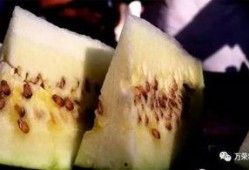 三白瓜咋吃视频,视频教你轻松上手