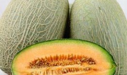 香蕉和哈密瓜一起吃吗,健康美味两不误