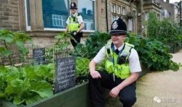 清风小镇东营吃瓜,瓜果飘香，夏日消暑好去处