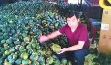 吃瓜大户瓜哥,娱乐圈那些不为人知的幕后故事