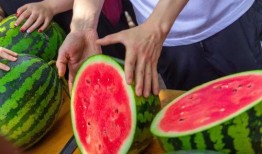 常州大学武进吃瓜,校园里的“吃瓜”盛事掠影