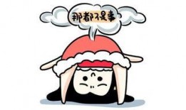 吃瓜群众听情感,吃瓜群众视角下的情感世界